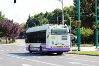 Imagine atasata: IMG_0050.JPG